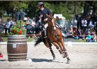 Pferd International 066